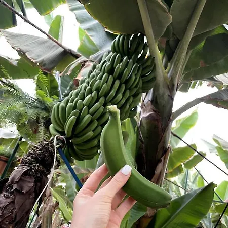 Best4u Nautico شقة